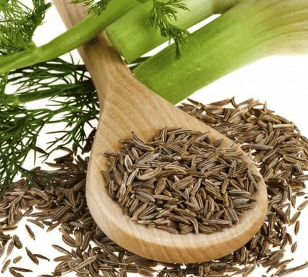 Fennel Seeds