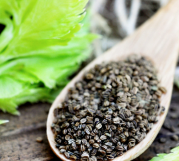 Celery Seeds