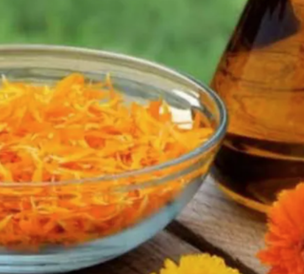 Calendula