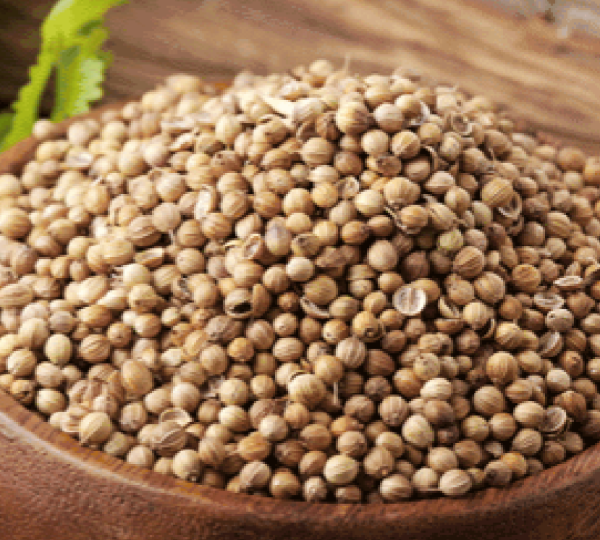 Coriander Seeds